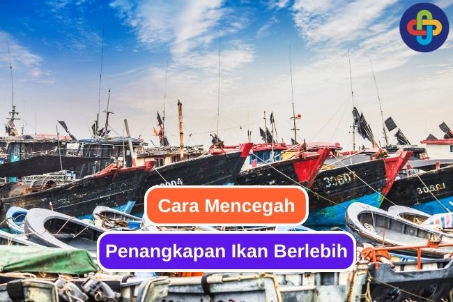 8 Tindakan untuk Mencegah Penangkapan Ikan yang Berlebih 